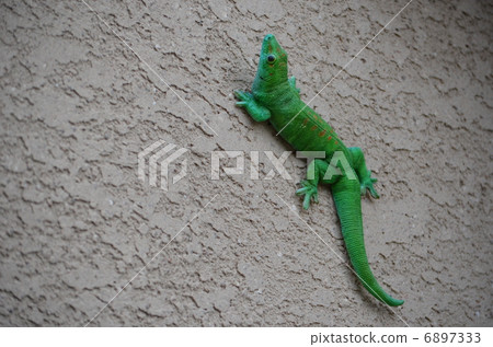 A lizard 6897333