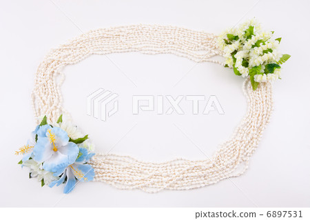 Shellley frame I 6897531