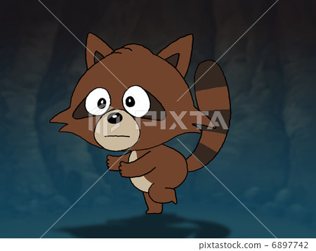 raccoon raccoon 6897742