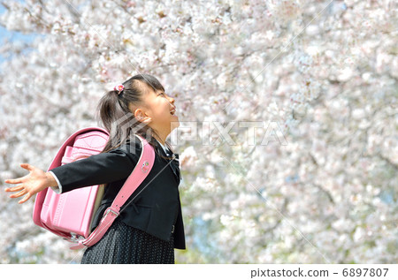 New freshman first girl (cherry blossoms) New freshman first girl (cherry blossoms) 6897807