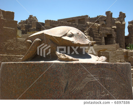 聖甲蟲 聖甲蟲 6897886