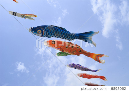 Carp streamer 6898062