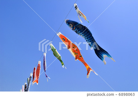 Carp streamer 6898063
