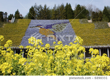 Scenery with flowerbed 6898331