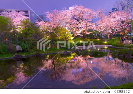 Mouri garden in spring 6898552