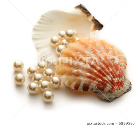 Scattering white pearls in seashell Scattering white pearls in seashell 6899593