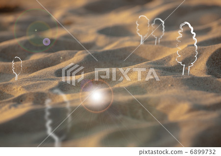 Trees in sand 6899732