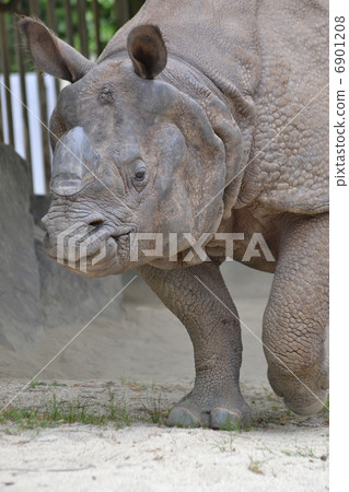 印度戒指 6901208