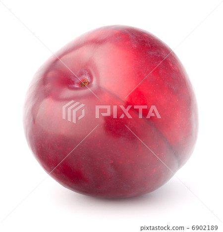 Ripe plum  fruit 6902189