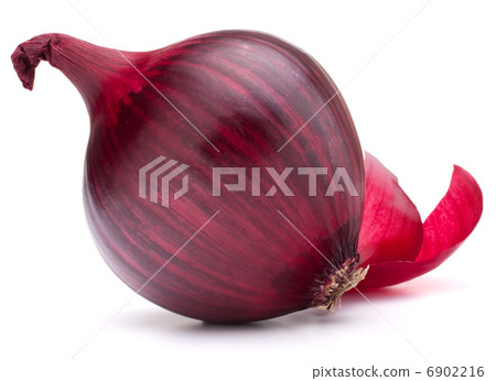 red onion bulb 6902216