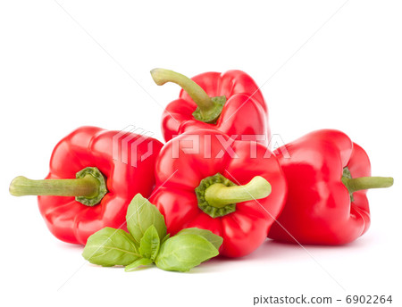 Sweet red pepper and basil leaves still life 6902264