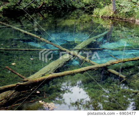 Early summer god child pond Early summer god child pond 6903477