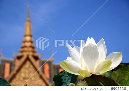 皇宮和地段 皇宮和地段 6903538