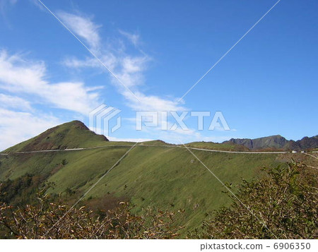 The head of yourself 6906350