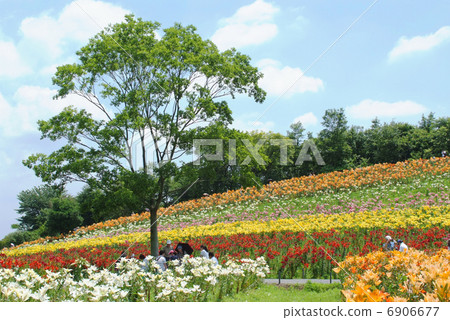 在樹蔭下打破_陰影 6906677