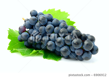 bunch of grapes bunch of grapes 6906912