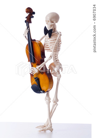 Skeleton playing violin isolated on the white Skeleton playing violin isolated on the white 6907834