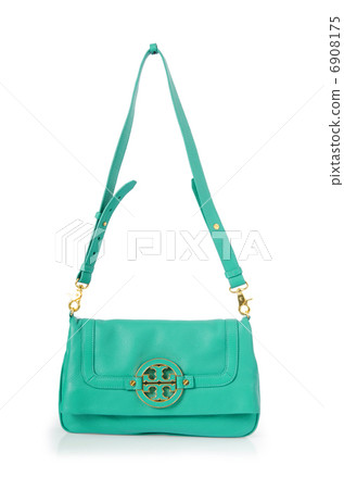 Elegant woman bag isolated on white Elegant woman bag isolated on white 6908175