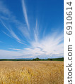 Sky of wheat field waiting for harvest 6910614