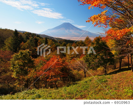 Mt. Fuji in autumn Mt. Fuji in autumn 6910963
