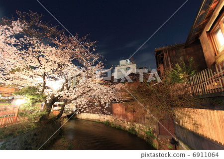 Kyoto Gion Shirakawa at night cherry blossoms Kyoto Gion Shirakawa at night cherry blossoms 6911064