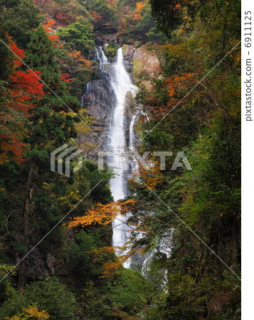 秋葉Kannawa秋天 秋葉Kannawa秋天 6911125