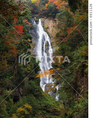 Kannawa Falls of autumn leaves 6911126