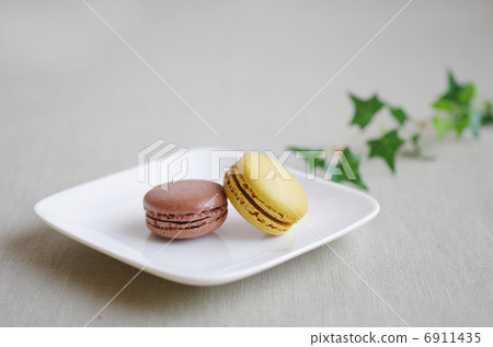 Two macaroons on a dish Two macaroons on a dish 6911435