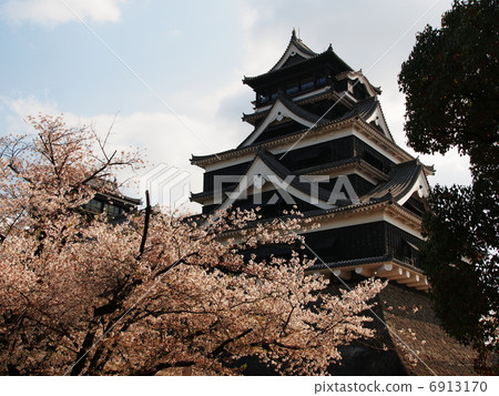 櫻花盛開的熊本城堡 6913170