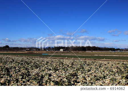 Rural landscape 6914062