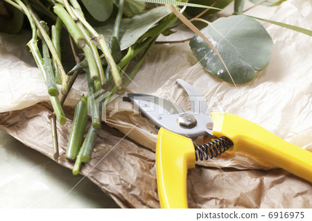 Ikebana and scissors 6916975