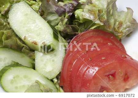 vegetable salad	 6917072