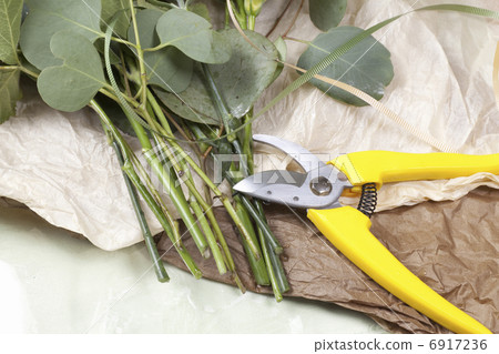 Ikebana and scissors Ikebana and scissors 6917236