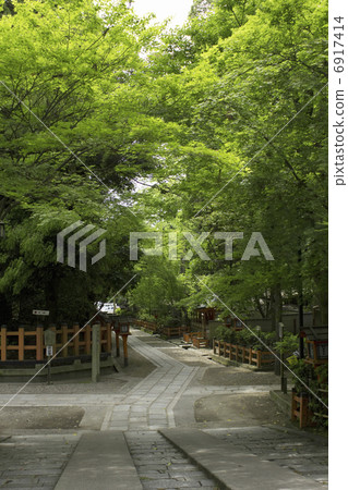 在八坂神社的區域內 在八坂神社的區域內 6917414