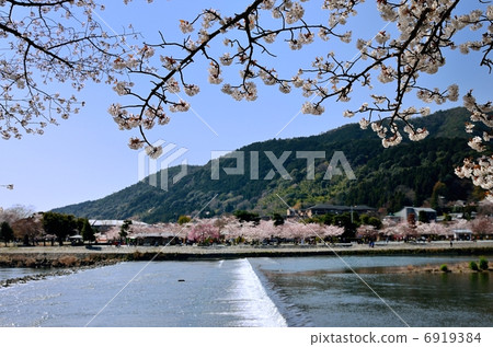 Spring Arashiyama 6919384