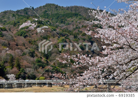 春天橋橋 春天橋橋 6919385