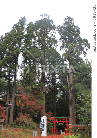 Chusonji寺 Chusonji寺 6919420