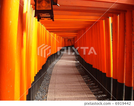 Fushimi-Inari Taisha Shrine Torii Torii 6919442
