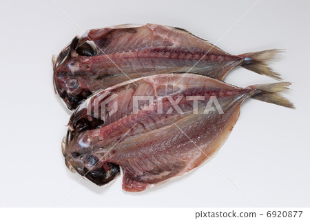 Dried horse mackerel 6920877