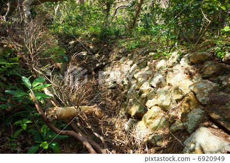 Yoshijima dispatched base station mark / second ruined trace trunk extending from the back door Yoshijima dispatched base station mark / second ruined trace trunk extending from the back door 6920949