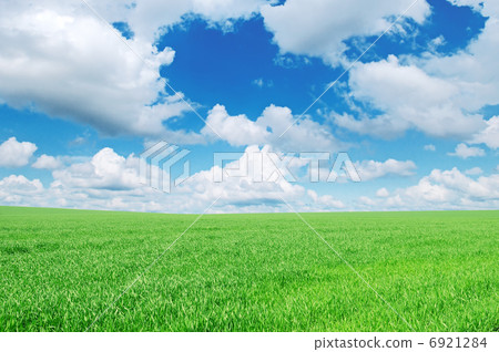 spring field 6921284