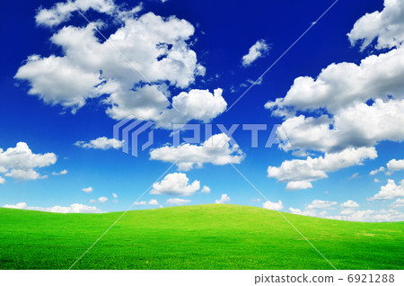 spring field 6921288