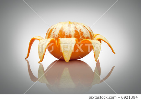 A cheerful spider. A cheerful spider. 6921394