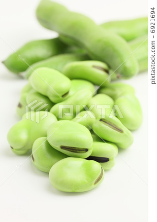 蠶豆蔬菜 6921694