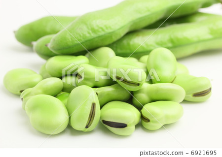 蠶豆蔬菜 6921695
