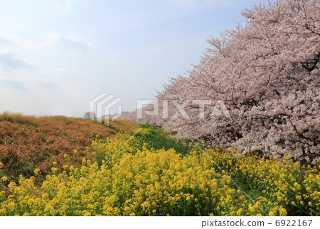 熊谷要塞 熊谷要塞 6922167