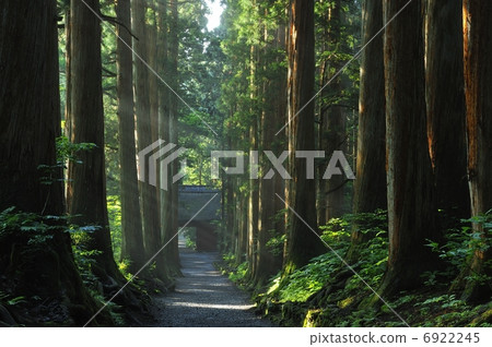 The approach to Togakushi Shrine 6922245