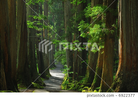 Togakushi神社的方法 6922377