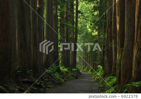 Togakushi神社的方法 6922378