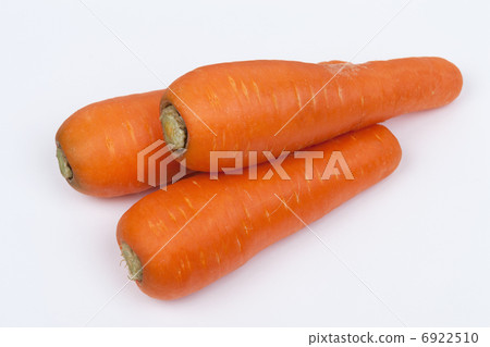 carrot carrot 6922510